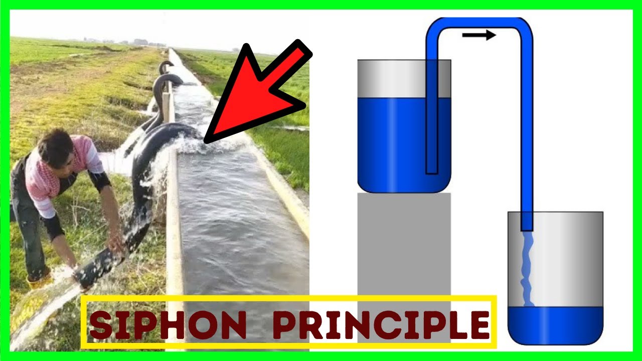 Example of a siphon